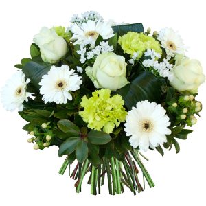 bouquet de fleurs vert et blanc Poudre