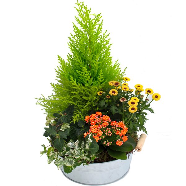 coupe de plantes deuil orange jaune