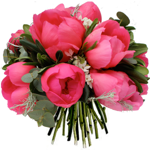 bouquet de pivoines rose fuschia