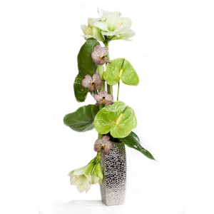 fleur de Noël: composition de fleurs de Noël d' orchidées anthuriums et amaryllis