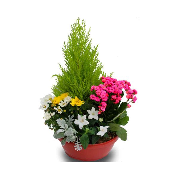 coupe de plantes pour deuil tons pastel