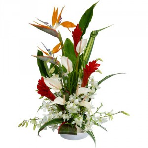 composition de fleurs exotiques avec strelitzia