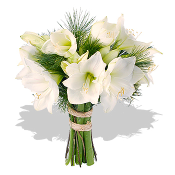 fleurs de novembre: bouquet amaryllis blancs