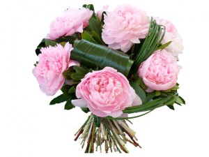 fleur fête des mères: bouquet de pivoines Sarah Bernhardt